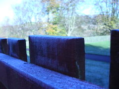 DSCN1991.JPG