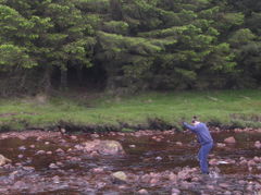 glencoe with donna 068.jpg